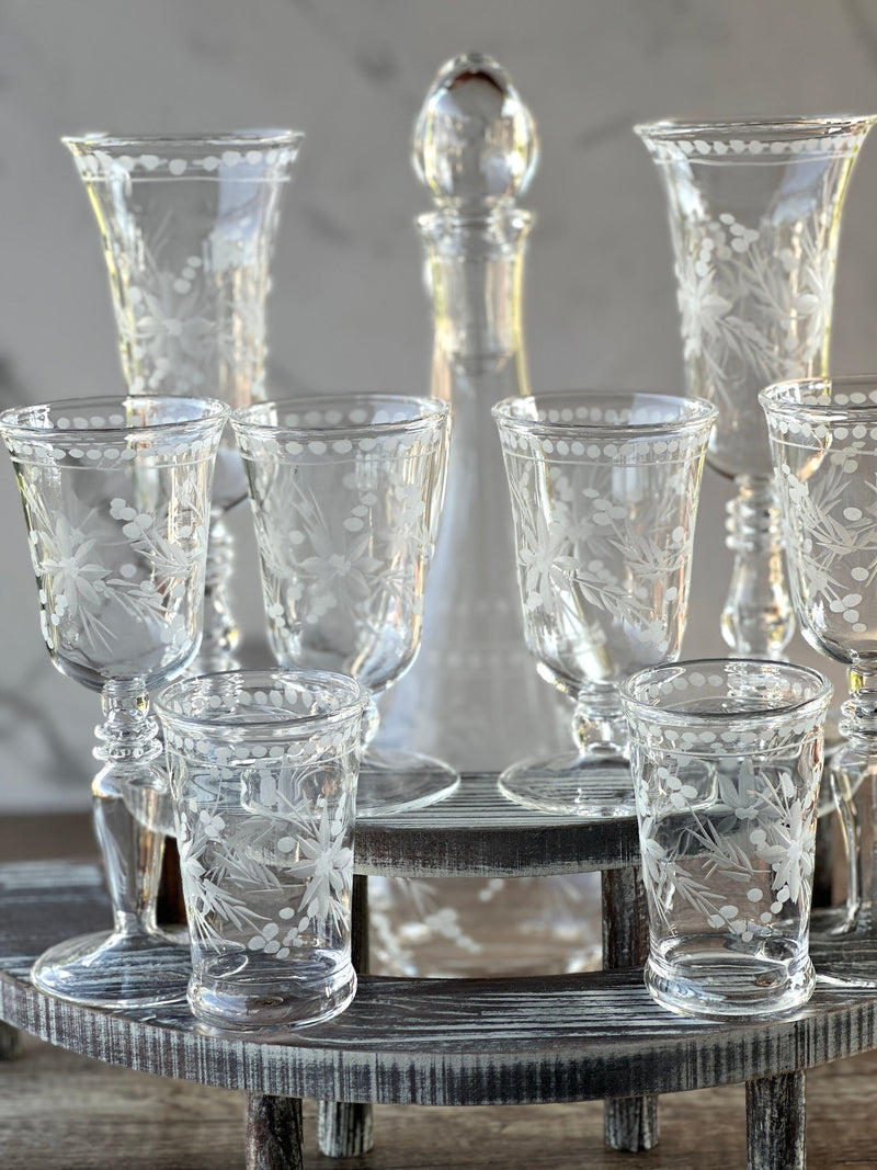 One of Kind Egyptian Handblown Etched Floral Drinking Set (9PCS)