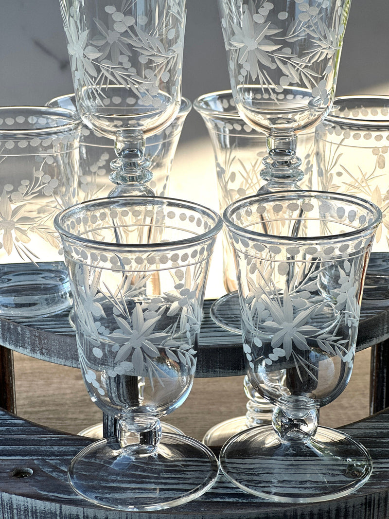 One of Kind Egyptian Handblown Etched Floral Drinking Set (9PCS)